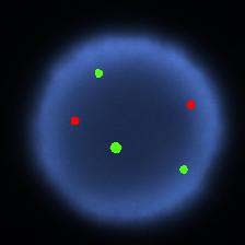 Figure 9